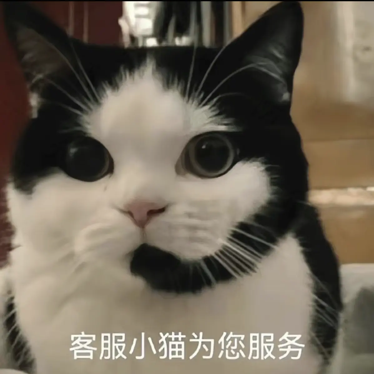 乌西拉拉